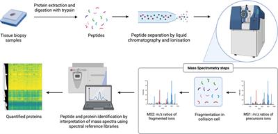 Quantitative proteomic studies addressing unmet clinical needs in sarcoma